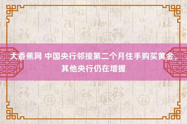 大香蕉网 中国央行邻接第二个月住手购买黄金，其他央行仍在增握