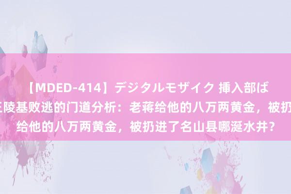 【MDED-414】デジタルモザイク 挿入部ばかり集めました2 从王陵基败逃的门道分析：老蒋给他的八万两黄金，被扔进了名山县哪涎水井？