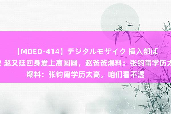 【MDED-414】デジタルモザイク 挿入部ばかり集めました2 赵又廷回身爱上高圆圆，赵爸爸爆料：张钧甯学历太高，咱们看不透