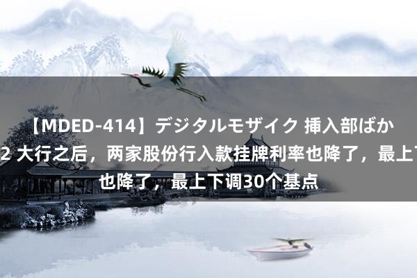 【MDED-414】デジタルモザイク 挿入部ばかり集めました2 大行之后，两家股份行入款挂牌利率也降了，最上下调30个基点