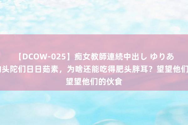 【DCOW-025】痴女教師連続中出し ゆりあ 庙里的头陀们日日茹素，为啥还能吃得肥头胖耳？望望他们的伙食