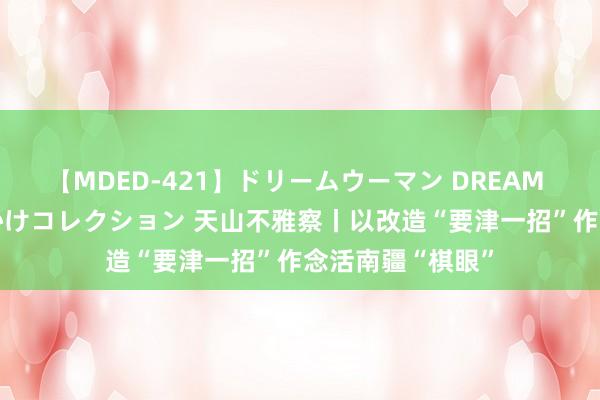 【MDED-421】ドリームウーマン DREAM WOMAN ぶっかけコレクション 天山不雅察丨以改造“要津一招”作念活南疆“棋眼”