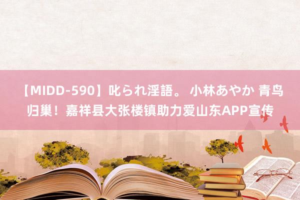 【MIDD-590】叱られ淫語。 小林あやか 青鸟归巢！嘉祥县大张楼镇助力爱山东APP宣传