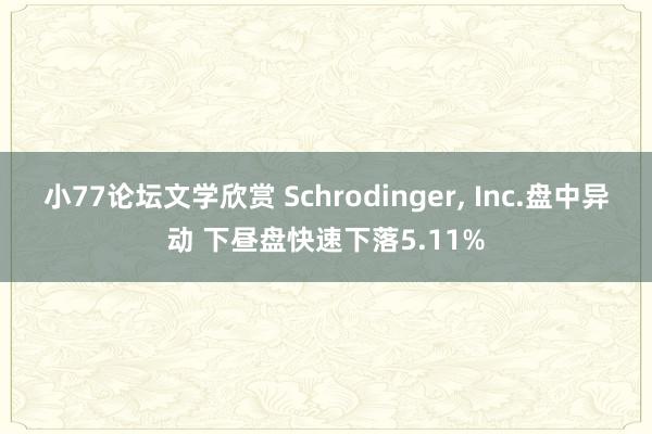 小77论坛文学欣赏 Schrodinger， Inc.盘中异动 下昼盘快速下落5.11%