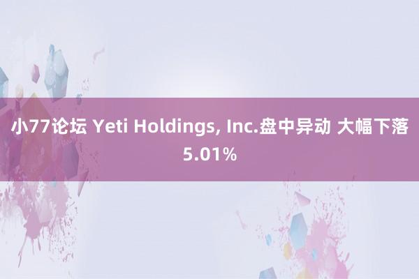 小77论坛 Yeti Holdings， Inc.盘中异动 大幅下落5.01%