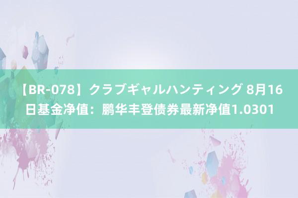 【BR-078】クラブギャルハンティング 8月16日基金净值：鹏华丰登债券最新净值1.0301