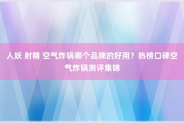 人妖 射精 空气炸锅哪个品牌的好用？热榜口碑空气炸锅测评集锦