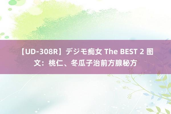 【UD-308R】デジモ痴女 The BEST 2 图文：桃仁、冬瓜子治前方腺秘方