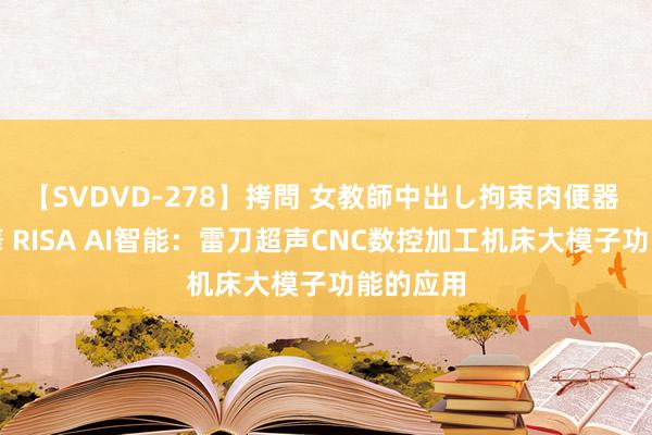 【SVDVD-278】拷問 女教師中出し拘束肉便器 仁科百華 RISA AI智能：雷刀超声CNC数控加工机床大模子功能的应用