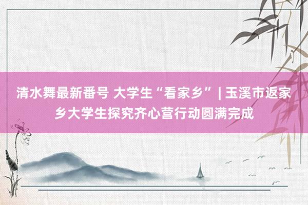 清水舞最新番号 大学生“看家乡” | 玉溪市返家乡大学生探究齐心营行动圆满完成