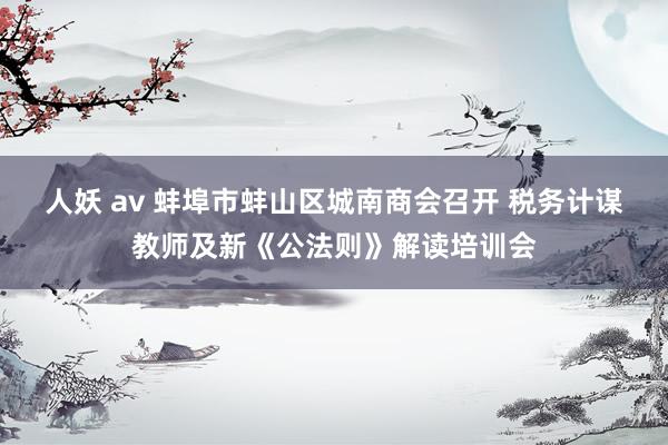 人妖 av 蚌埠市蚌山区城南商会召开 税务计谋教师及新《公法则》解读培训会