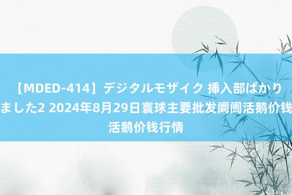 【MDED-414】デジタルモザイク 挿入部ばかり集めました2 2024年8月29日寰球主要批发阛阓活鹅价钱行情