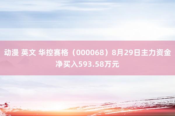 动漫 英文 华控赛格（000068）8月29日主力资金净买入593.58万元