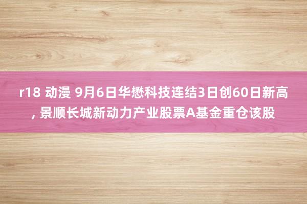 r18 动漫 9月6日华懋科技连结3日创60日新高， 景顺长城新动力产业股票A基金重仓该股