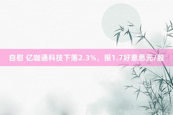 自慰 亿咖通科技下落2.3%，报1.7好意思元/股