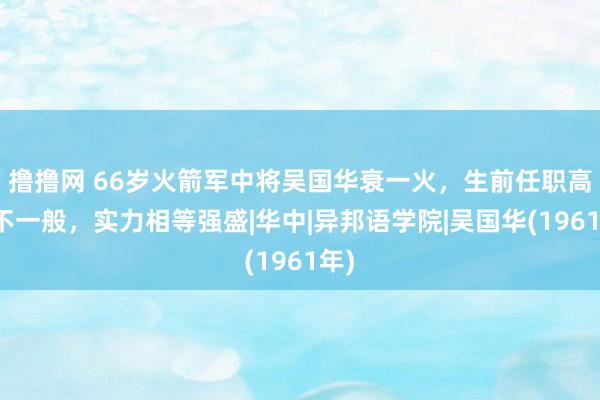 撸撸网 66岁火箭军中将吴国华衰一火，生前任职高校不一般，实力相等强盛|华中|异邦语学院|吴国华(1961年)