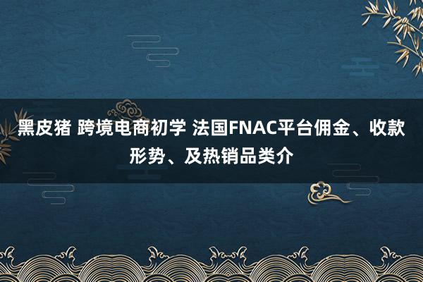 黑皮猪 跨境电商初学 法国FNAC平台佣金、收款形势、及热销品类介