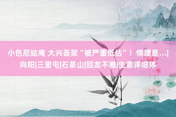 小色尼姑庵 大兴荟聚“被严重低估”！情理是...|向阳|三里屯|石景山|回龙不雅|生意详细体