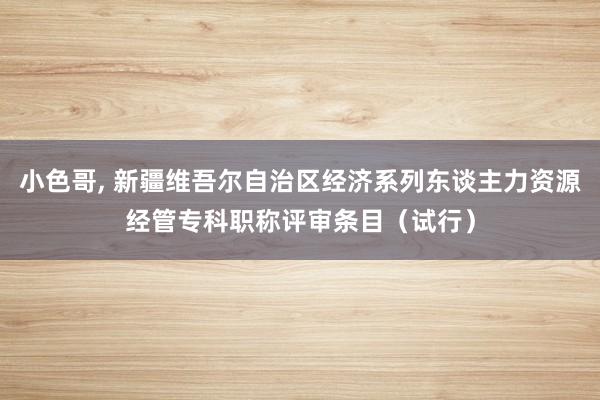 小色哥， 新疆维吾尔自治区经济系列东谈主力资源经管专科职称评审条目（试行）