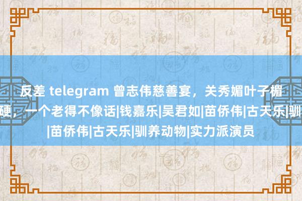 反差 telegram 曾志伟慈善宴，关秀媚叶子楣出席，一个脸部僵硬，一个老得不像话|钱嘉乐|吴君如|苗侨伟|古天乐|驯养动物|实力派演员